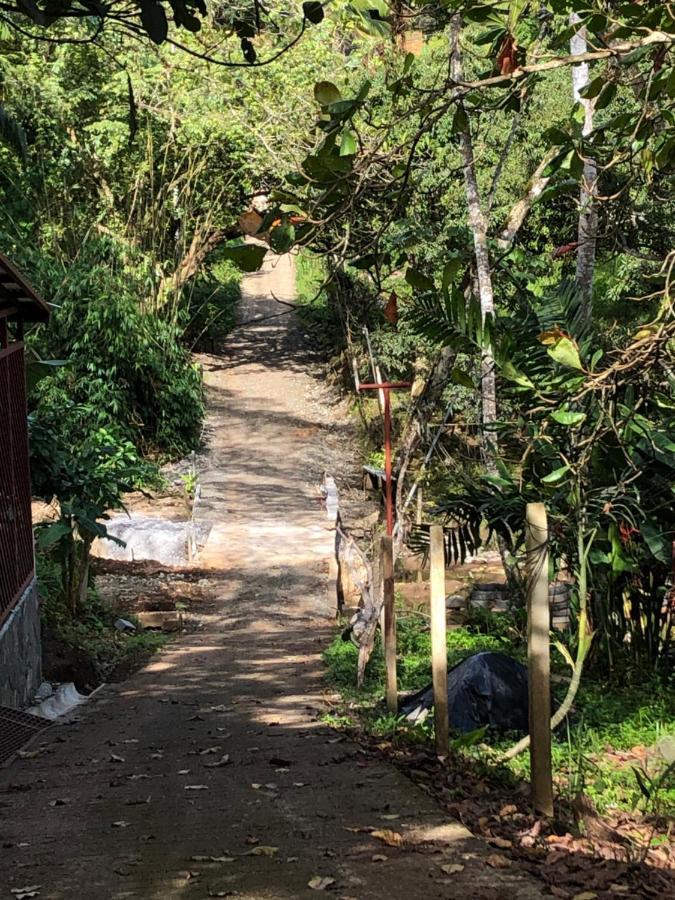 Casa Encantada Offers You Two-Bedroom House, 1 Tiny Apartment & 3 Double Rooms Manuel Antonio Exteriér fotografie