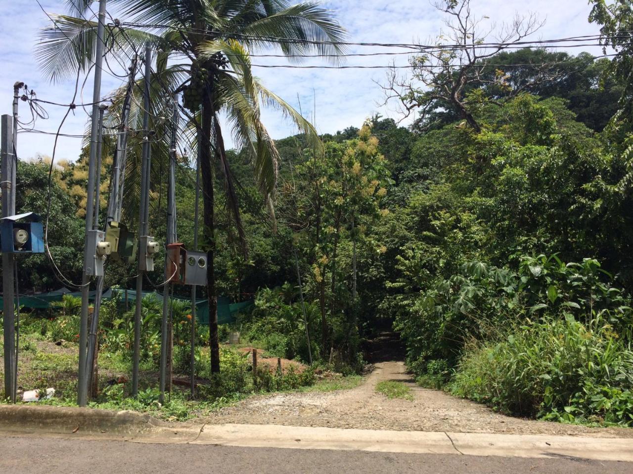 Casa Encantada Offers You Two-Bedroom House, 1 Tiny Apartment & 3 Double Rooms Manuel Antonio Exteriér fotografie